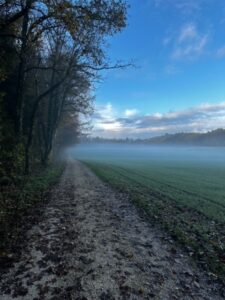 Mittelland Backyard Ultra Strecke